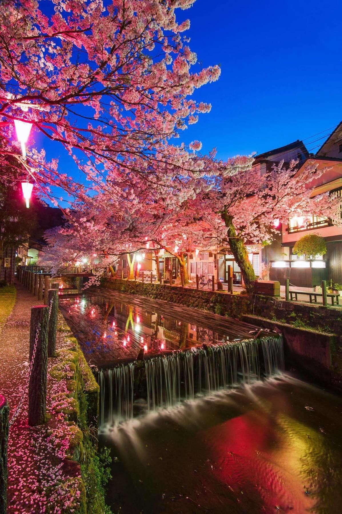 Yutouya Ryokan โทโยคะ ภายนอก รูปภาพ